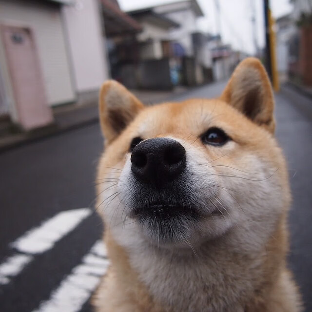 中北美风暴再起，洪都拉斯强势晋级，东道主美国遭遇世界杯首场焦点战考验